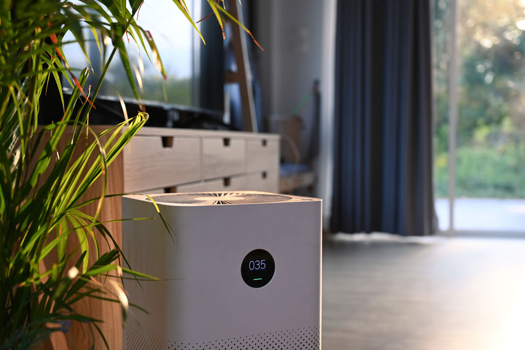 Do Air Purifiers Work? Find the Best One for Your Lifestyle