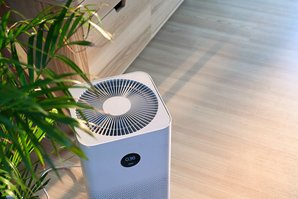 The Benefits of Using Air Purifiers at Home