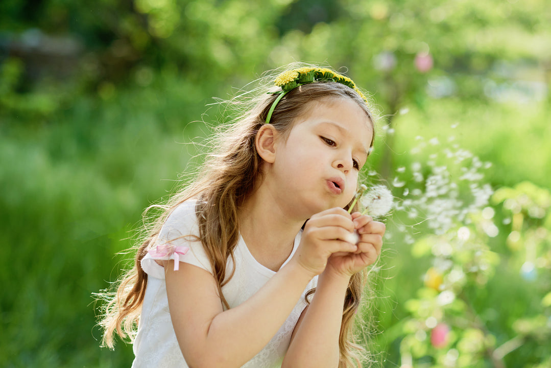 Seasonal Allergy Protection: How to Reduce Allergy Symptoms in Spring and Fall